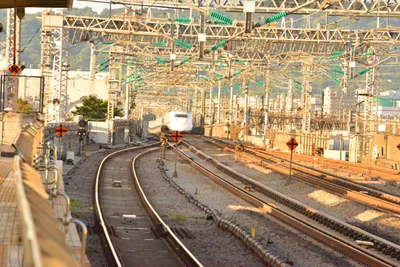 DSC_3774 (Large).JPG